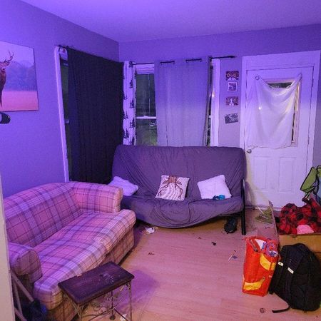 Beau 3 1/2 à louer à Saint-Hyacinthe- Disponible dès décembre - Photo 3