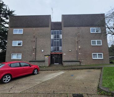 1 Bedroom Flat To Let - Photo 4