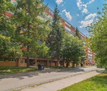 Pronájem bytu 4+kk po rekonstrukci (89 m - Fotografie 5
