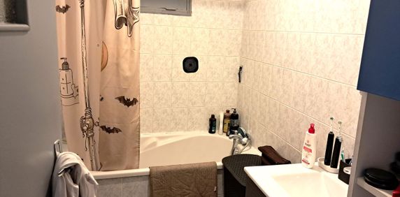 Location Appartement 2 pièces 46m² SENS 89100 - Photo 2