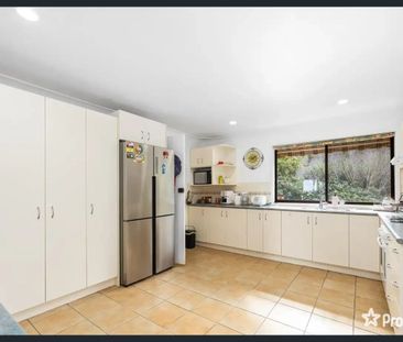 1A Noonan Point Avenue, Point Clare, NSW 2250 - Photo 3