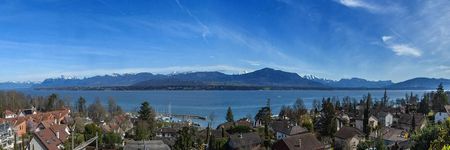 Furnished property with magnificent views of the lake, the Alps and the Mont-Blanc - Photo 4