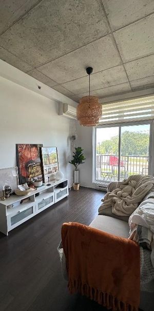 Studio à louer - Vieux-Longueuil - Photo 1
