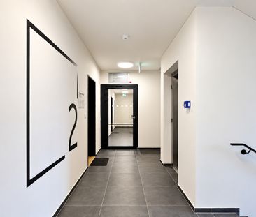 Pronájem bytu 2+kk 43 m², Haenkeho, Praha Řeporyje - Photo 2