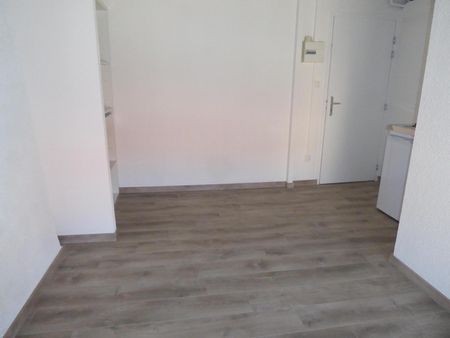 Location Appartement 1 pièce 17m² AUBENAS 07200 - Photo 4