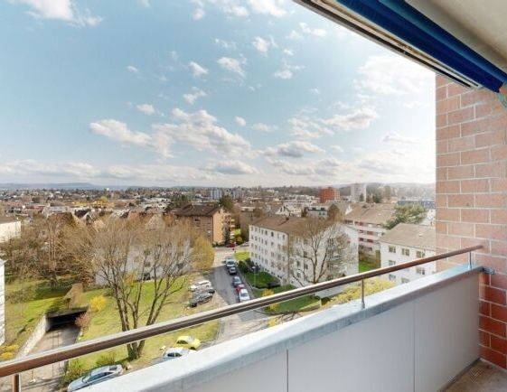 Apartment with private washer dryer and view of Allschwil - Photo 1