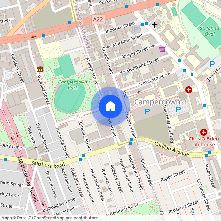 7/65 FOWLER STREET Camperdown