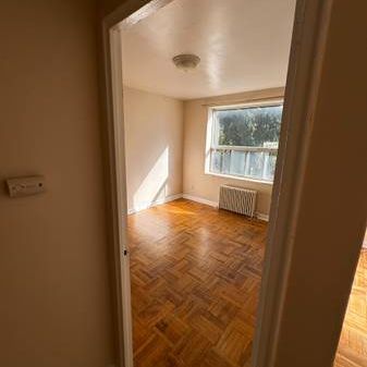 Newly renovated 1 bedroom apt, reasonably priced - Photo 3