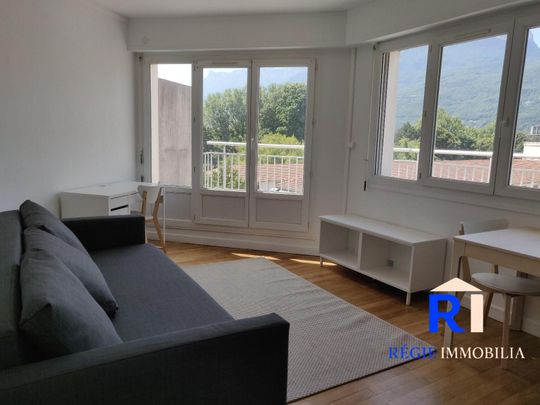 Location Appartement 1 pièce 29m² GRENOBLE 38100 - Photo 1