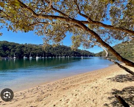 Forestville - Photo 5