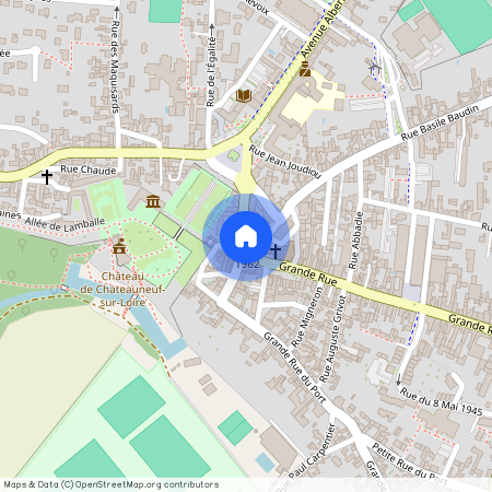 CHATEAUNEUF SUR LOIRE (45110)