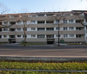 Appartement rénové dans un quartier résidentiel calme au milieu d’u... - Foto 4