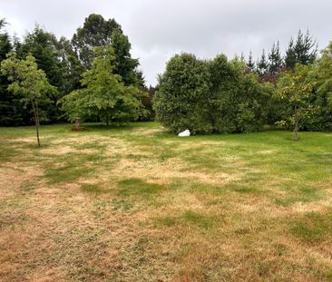 Garden Setting - Photo 4