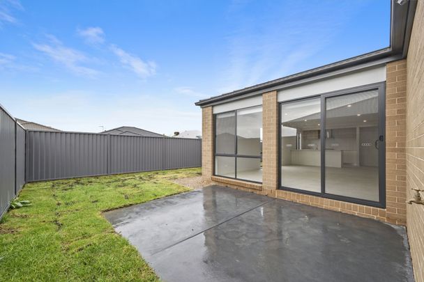 31 Cavan Grove, Alfredton VIC 3350 - Photo 1