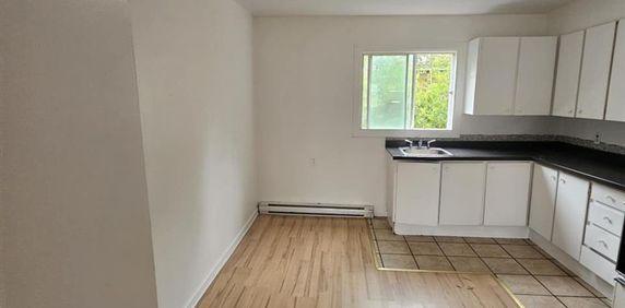 21 Rue Courchesne (Hull) Grand Logement Tout Près D'Ottawa - Photo 2