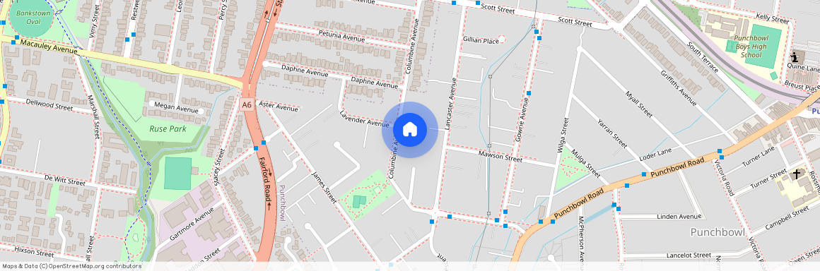 76 Columbine Avenue, NSW 2196, Punchbowl