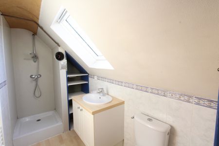 Location Appartement 2 pièces 46m² LA CHARITE SUR LOIRE 58400 - Photo 5