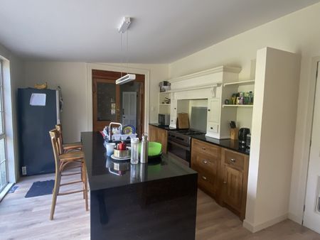 Spacious Studio Room Available! 2026 - Photo 4