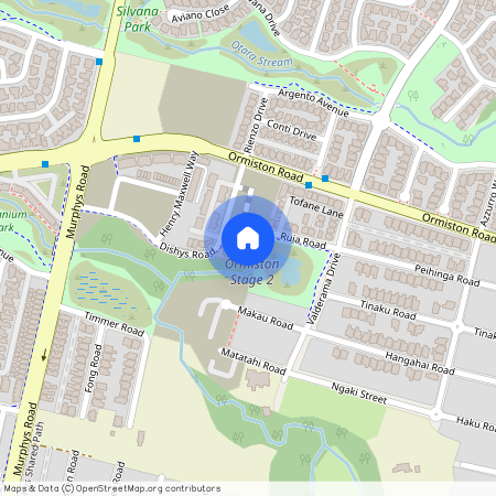 8 Serpent road, Flat Bush, Manukau City