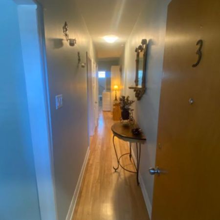 Mtl mercier. 4 1/2. Rue st Donat - Photo 4