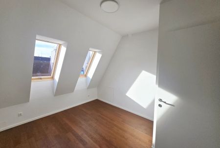 Traumhafte Dachterrassenwohnung mit Altbauflair - Erstbezug! - Foto 3