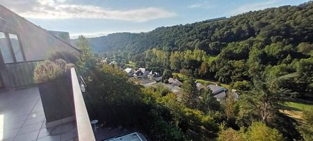 Location appartement t5 179 m² à Rodez (12000) - Photo 2