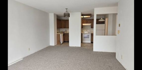 Large Bright Two Bedroom, - Photo 2