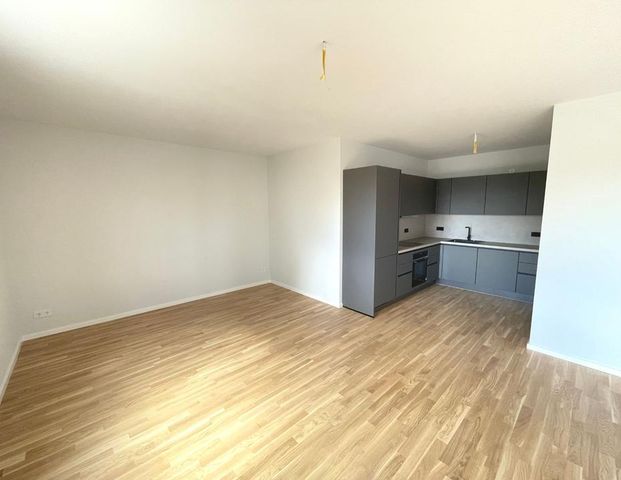 NEON 2.0 - UMZUG IN DEN NEUBAU - Photo 1