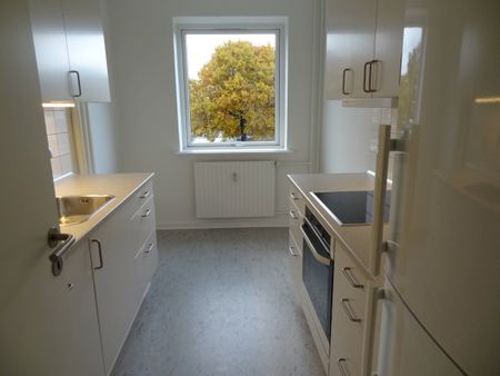 4-vær., Pebermyntevej - Photo 5