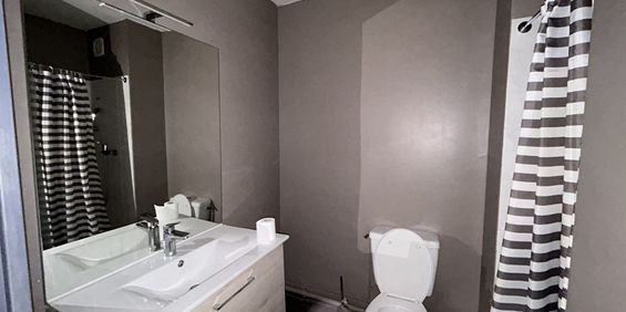 Location Appartement 1 pièce 19m² ALBI 81000 - Photo 3