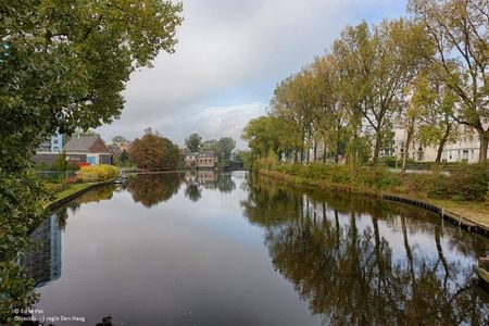 Te huur: Appartement Groot Hertoginnelaan 220 in Den Haag - foto 3