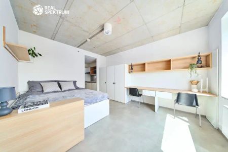 Pronájem moderního 1+kk (Double A) u Vaňkovky – BEZ PROVIZE! - Fotografie 4