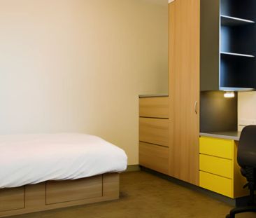 Studio Standard - Photo 1