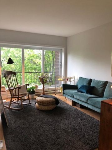 Appartement à louer - Montréal (Le Plateau-Mont-Royal) (Le Plateau-Mont-Royal) - Photo 5