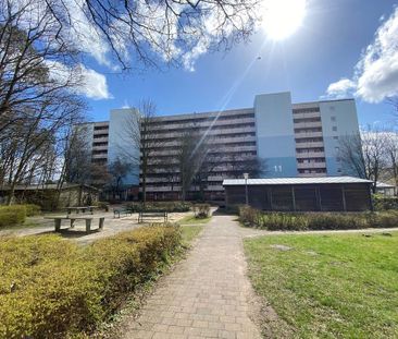 Am Hohenmoor 13, 24568 Kaltenkirchen - Foto 5