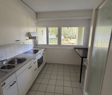 2 Zimmer, EG - Photo 2