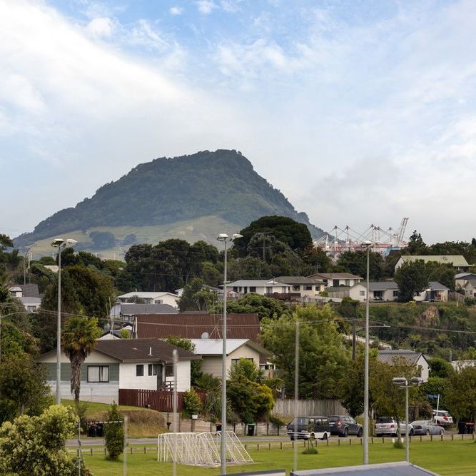 Stunning Modern Two-Storey Home with Mount Views & Bonus Downstairs Flat - Photo 1