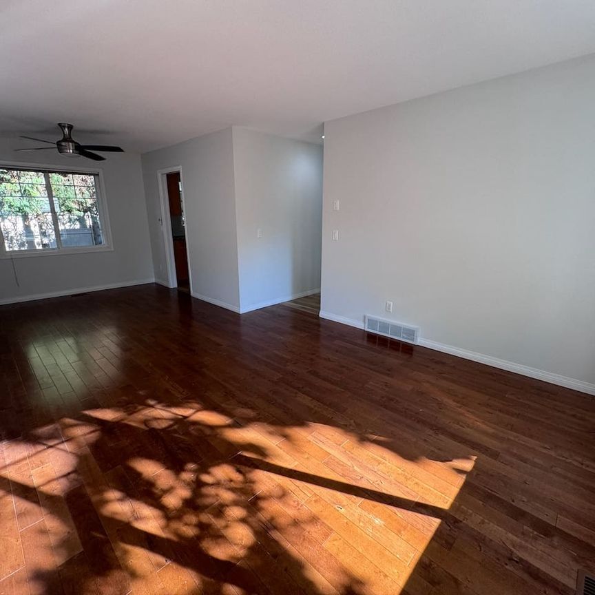 Lower Mission: 3 bed, 2.5 bath House - Photo 1
