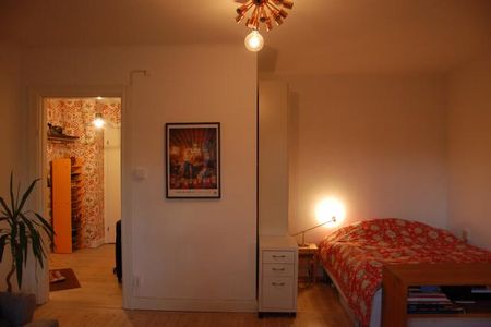 Nära naturen på Lidingö - Foto 4