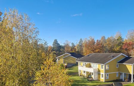 Paulisväg, Pauliström - Photo 3