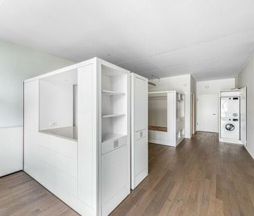 Living in Sihlhof 2 – Attention singles - Foto 6