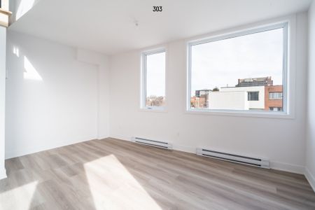 Condo for rent, Montréal (Rosemont/La Petite-Patrie) - Photo 5