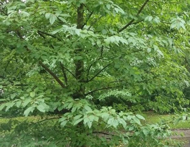 DG Wohnung Stadtparkviertel (Anfang 2026 VHS) - Photo 1