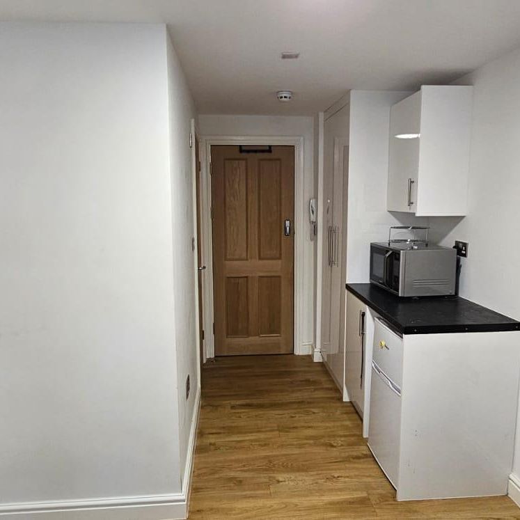 Hopton Road, Wealdstone HA3, London - Photo 1