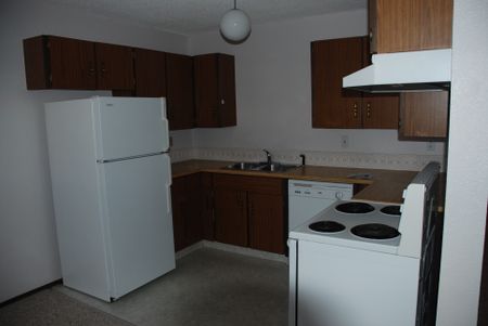 3522-49 Avenue (2 Bedroom / 1.5 Baths – South Hill) Red Deer – $1195 per month LOWER UNIT - Photo 3