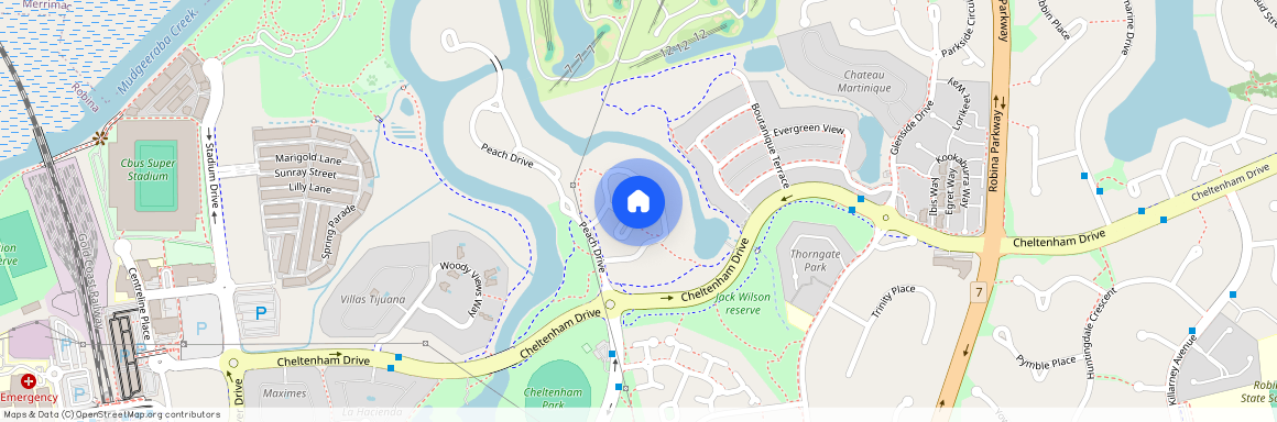 10 Coral Tree Court, 4226, Robina Qld