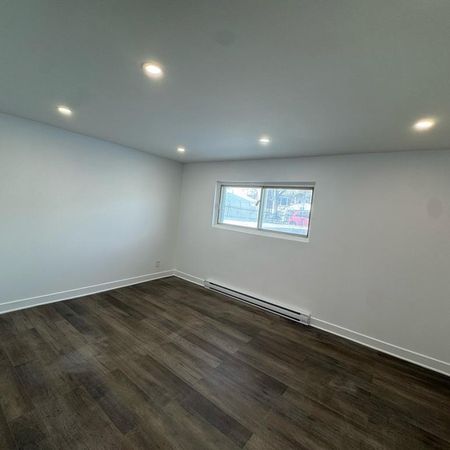 4.5 A MONTREAL-NORD COMPLÈTEMENT RÉNOVÉ!! - Photo 4