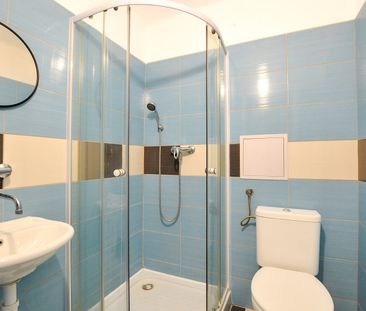 Pronájem bytu 1+kk 29 m² - Fotografie 5