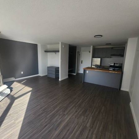 studio condo for rent (Anchor Point I) - Photo 3