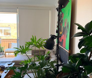 Bondi Beach - Photo 5